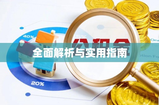 西岗全面解析与实用指南