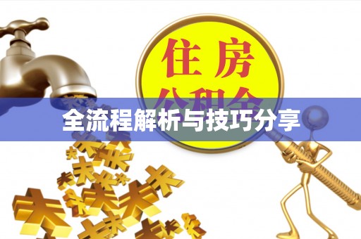 西岗全流程解析与技巧分享
